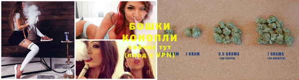 крисы Бугульма