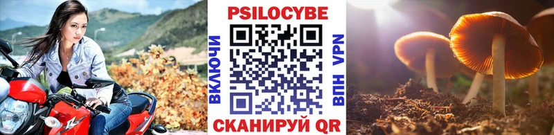 закладки Балашиха Псилоцибиновые грибы мицелий
